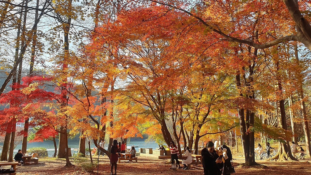 Nami Island in autumn — visitors under blazing red and orange maples beside the lake