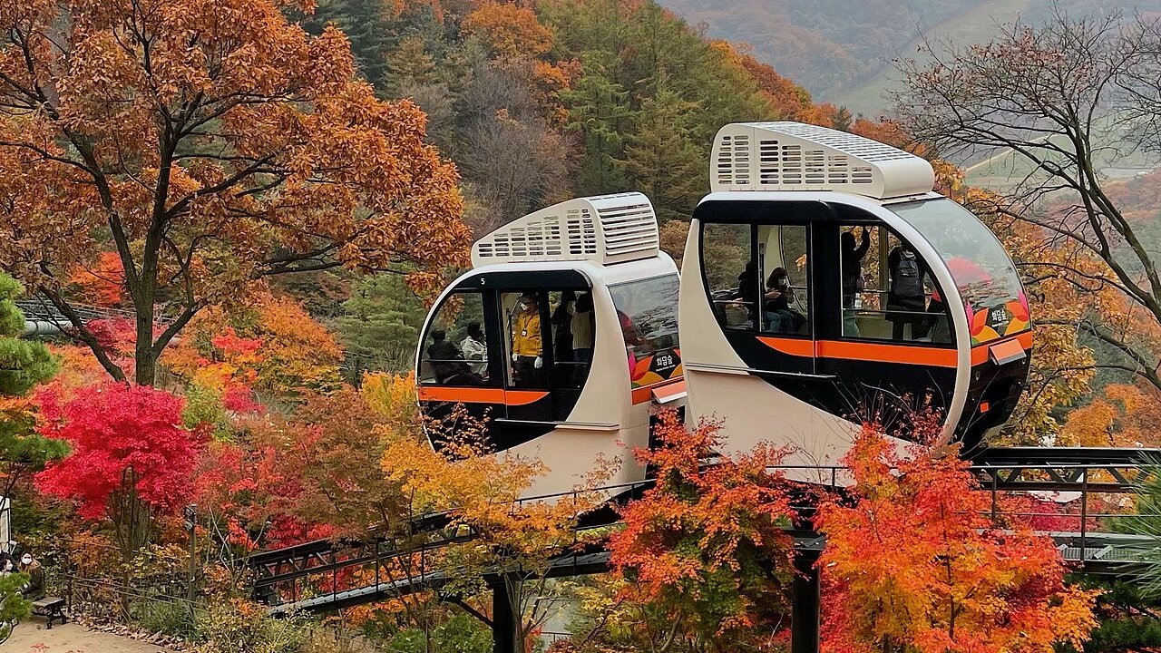Hwadam Forest in Autumn: Day Trip from Seoul by Train (2026 Dates, Tickets & Monorail)